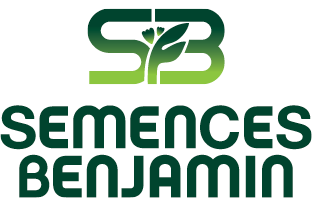 Division : Semences Fourragères